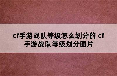 cf手游战队等级怎么划分的 cf手游战队等级划分图片